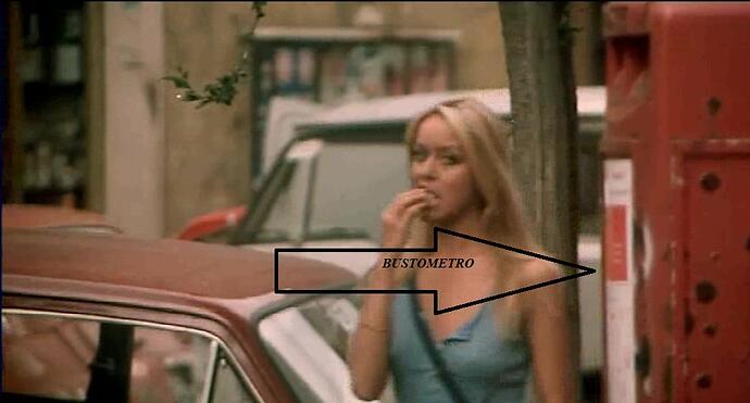 12 Bustometro