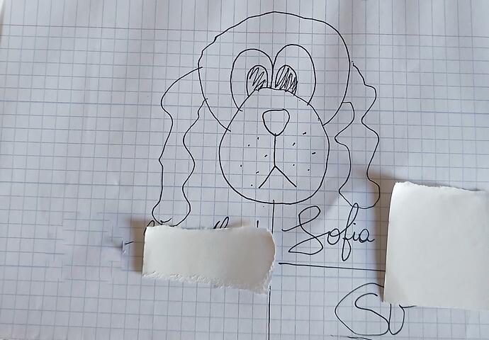 15129