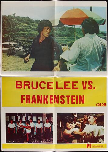 bruce lee vs. frankenstein