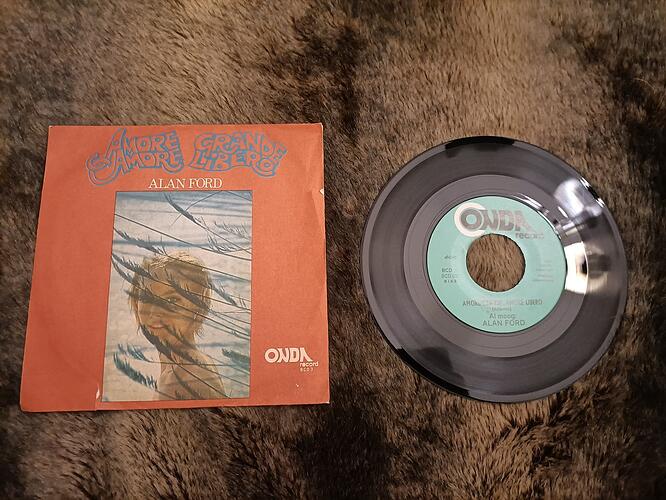 17674728267576981197003971034336