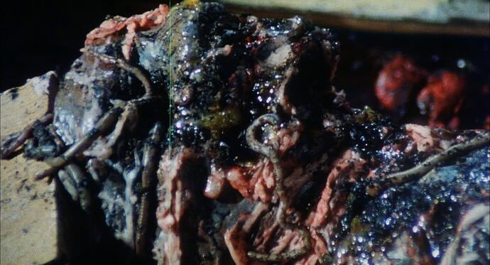 City of the Living Dead (1980) {edition-35mm} (subs).mkv_snapshot_00.10.58_2026-03-25_06.32.39